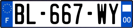 BL-667-WY