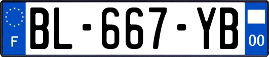 BL-667-YB