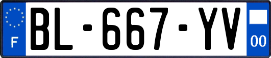 BL-667-YV