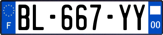BL-667-YY