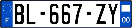 BL-667-ZY