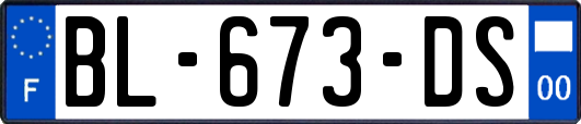 BL-673-DS