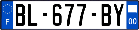 BL-677-BY