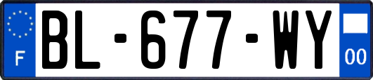 BL-677-WY