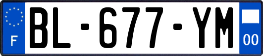 BL-677-YM