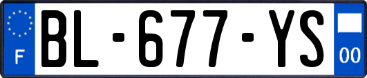 BL-677-YS
