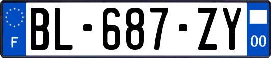 BL-687-ZY