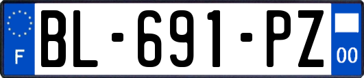 BL-691-PZ