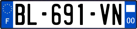 BL-691-VN
