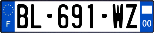 BL-691-WZ