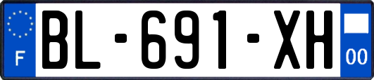 BL-691-XH
