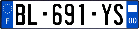 BL-691-YS
