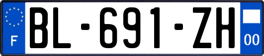 BL-691-ZH
