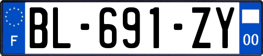 BL-691-ZY
