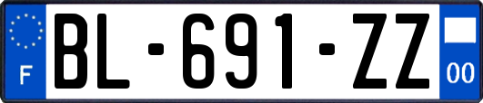 BL-691-ZZ
