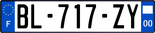BL-717-ZY