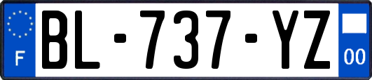 BL-737-YZ