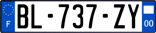 BL-737-ZY