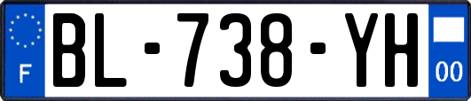 BL-738-YH