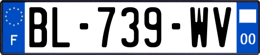 BL-739-WV