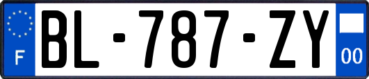 BL-787-ZY