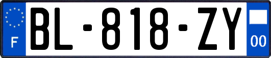 BL-818-ZY