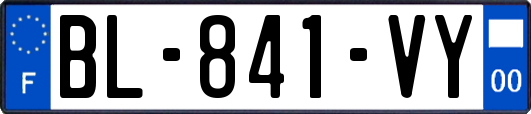 BL-841-VY