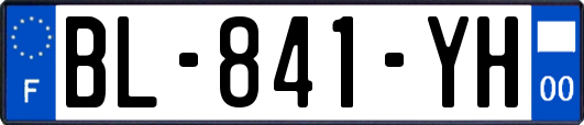 BL-841-YH