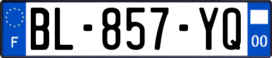 BL-857-YQ