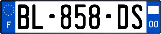 BL-858-DS