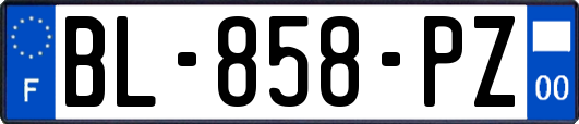 BL-858-PZ