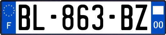 BL-863-BZ