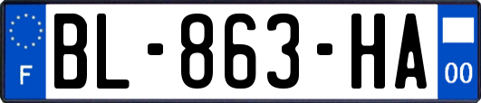 BL-863-HA