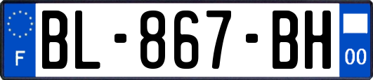 BL-867-BH