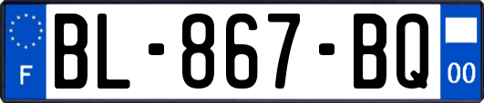 BL-867-BQ
