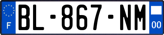 BL-867-NM