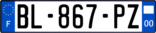 BL-867-PZ