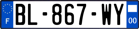 BL-867-WY