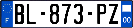 BL-873-PZ