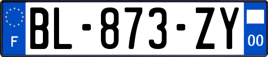 BL-873-ZY
