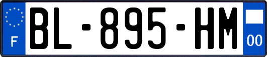 BL-895-HM
