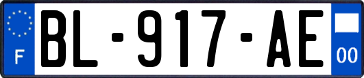 BL-917-AE