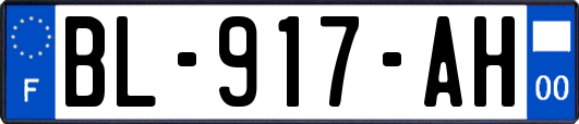 BL-917-AH