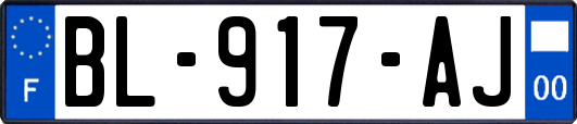 BL-917-AJ