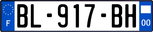 BL-917-BH