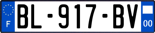 BL-917-BV