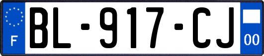 BL-917-CJ