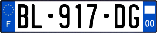 BL-917-DG