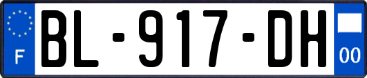 BL-917-DH