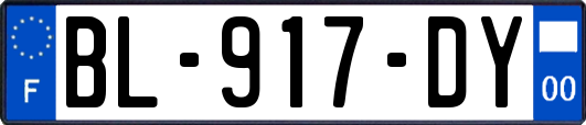 BL-917-DY